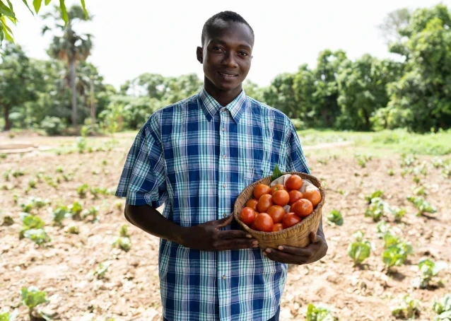 Farmer holding freshly harvested tomatoes