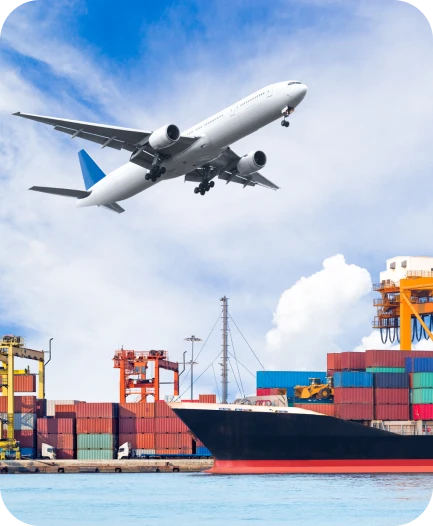 businesssegmentsexport